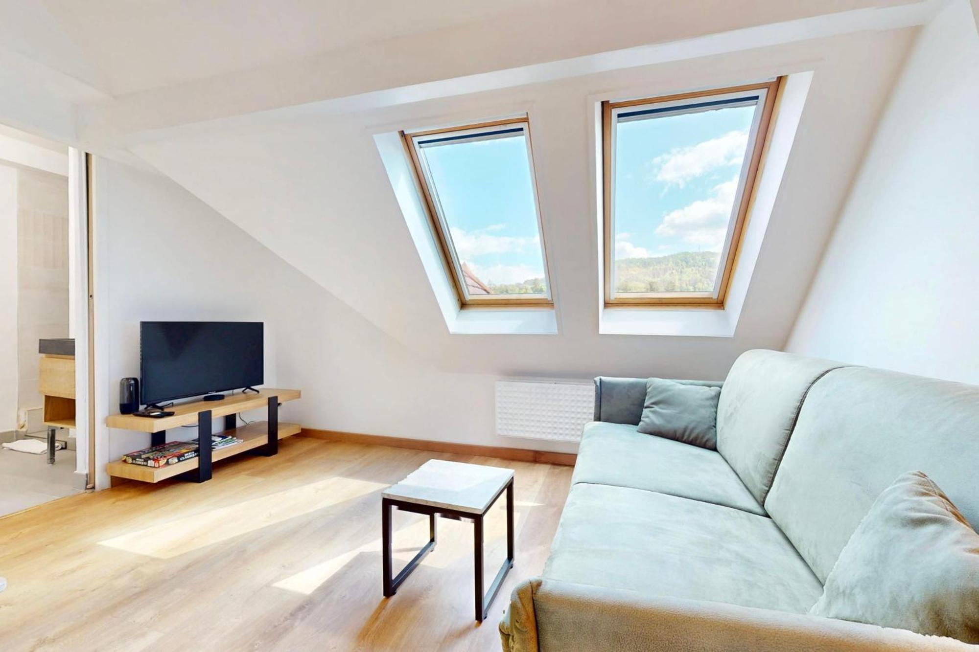 Le Supernova - Nice Studio With Mezzanine In The Heart Of The City Annecy Dış mekan fotoğraf